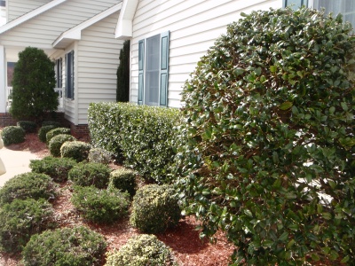 landscaping_carolina_club_home_for_sale